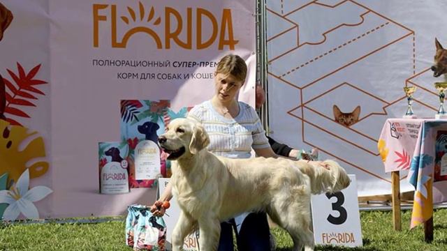 выходной смотреть онлайн