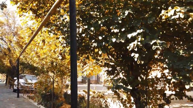 Махалли Ташкента: Катартал-2 и Мевазор. Прогулка без комментариев. Walk in Tashkent смотреть онлайн