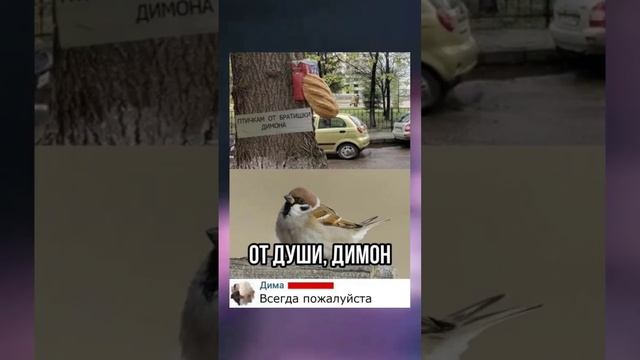 #short #shorts #мем #мемы #прикол #юмор #funny (24) смотреть онлайн