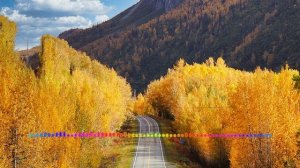 Тимур Хидирбеков - В твоих руках (2023)