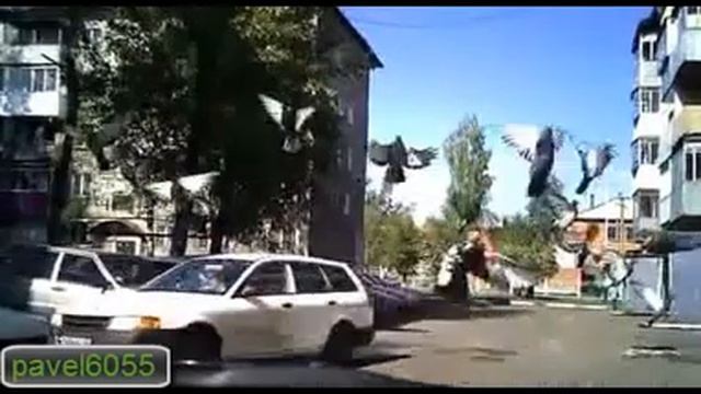 Настоящая блондинка смотреть онлайн