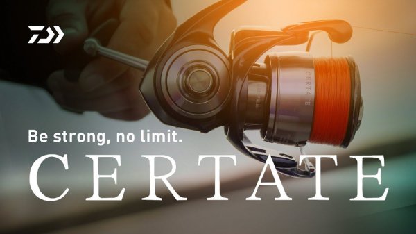 24 CERTATE | Be strong, no limit