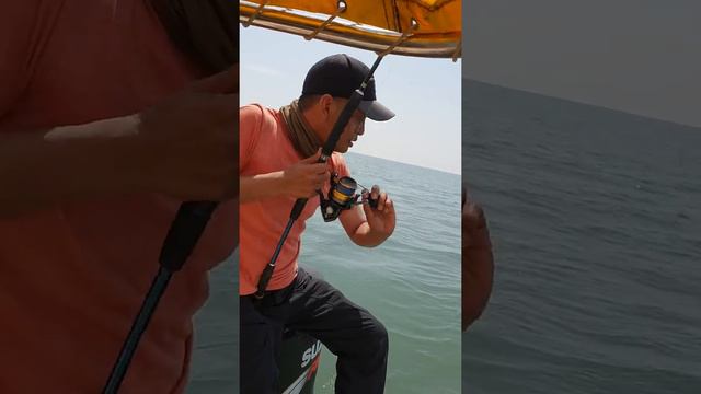 Mancing katrol timika kencana fising club смотреть онлайн