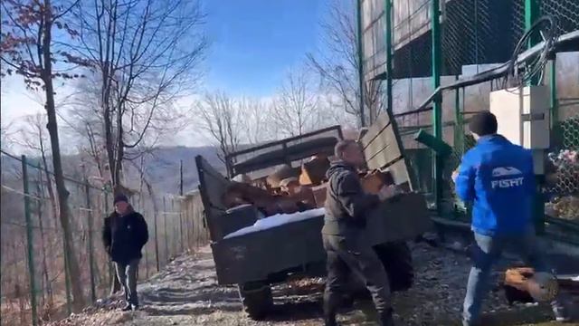 В нацпарке Сочи подготавливают вольеры к появлению детенышей леопардов смотреть онлайн