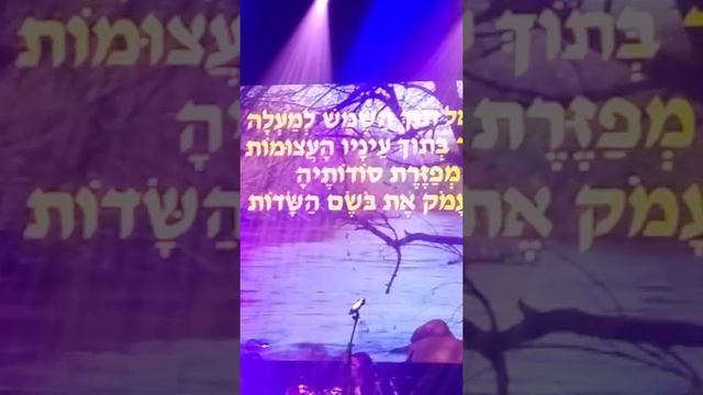שלמה יידוב שיר בין ערביים. ימי זמר בחולון משירי יהונתן גפן смотреть онлайн
