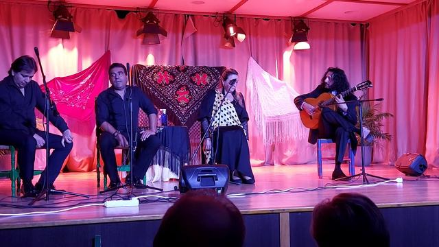 Remedios Reyes su grupo junto al maestro a la guitarra Diego Amaya смотреть онлайн