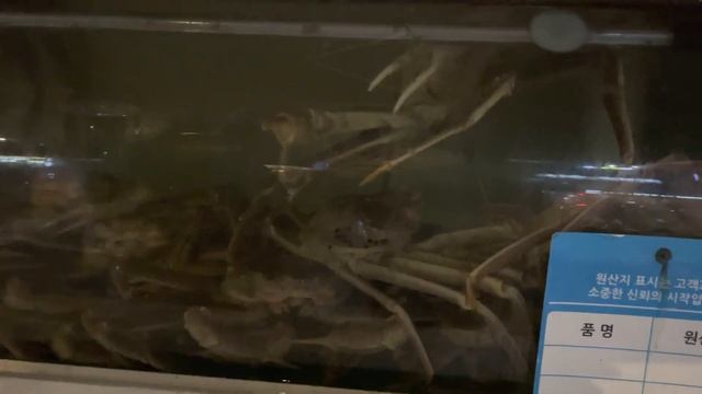 Сеул. Как мы прилетели в этот прекрасный город смотреть онлайн