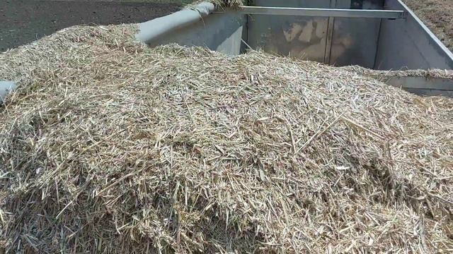 Moldova Miscanthus Harvest смотреть онлайн