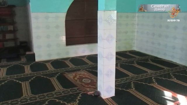 Сезон 2. Сколько стоит помидоры в Сенегале? Хузур-вояж с Антоном Кротовым смотреть онлайн