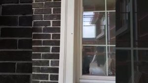 Наличники для окон из пенополистерола