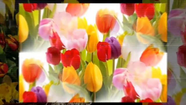 This is for you, my friend - spring, flowers, love, accordion and Waltz... ... смотреть онлайн