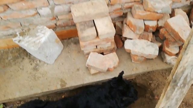Кладка почти готова! Купили ещё 100 кирпичей! Живём в деревне. смотреть онлайн