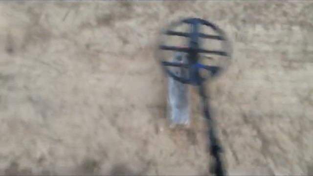 Minelab Equinox 600, Garret Ace Euro и АКА Сигнум SFT 7272