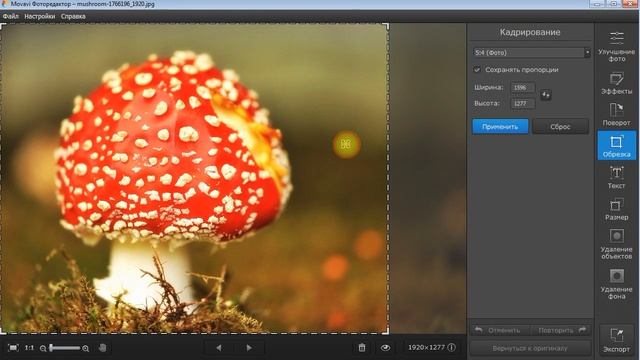 Как обрезать фото на компьютере | Обрезать фото за 5 сек смотреть онлайн