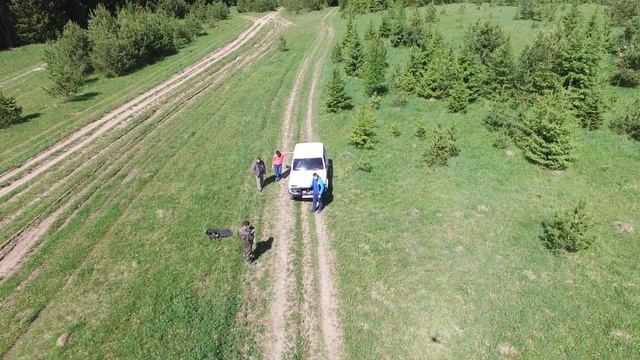 Верхнее Мошево 4 смотреть онлайн