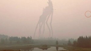 Туманные гости|Пасмурная погода сближает гостей|Ужасы Тревора Хендерсона