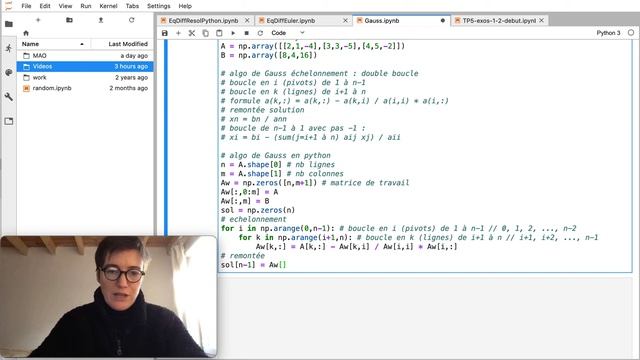 [Python pour les maths] Résolution de systèmes linéaires : codage de l'algorithme du pivot de Gauss смотреть онлайн
