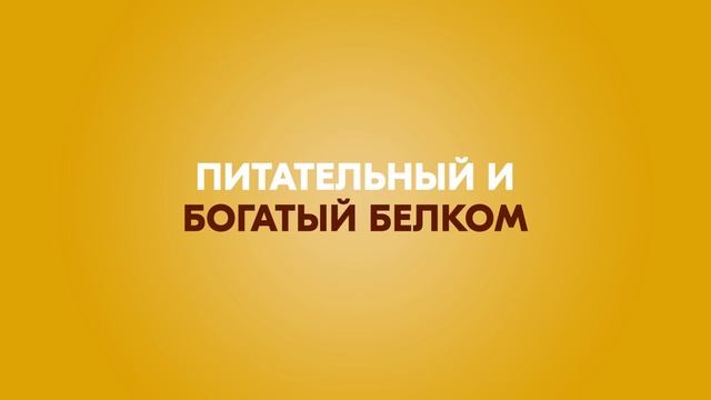 Вкусный завтрак с Ламбер. смотреть онлайн