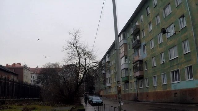 Калиниград. Последний день перед отъездом смотреть онлайн