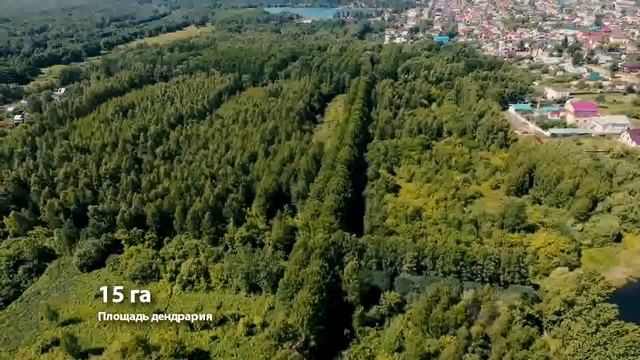Наш Дендрарий г Дзержинск Нижегородская область смотреть онлайн