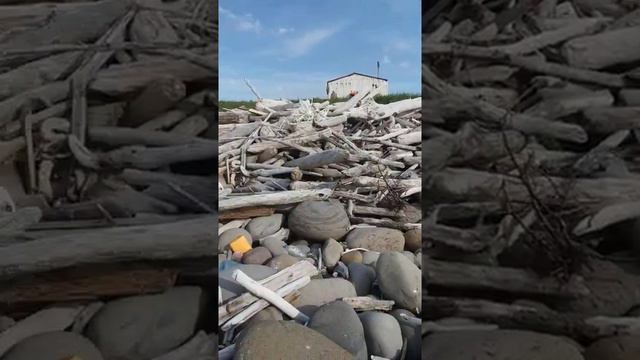 Непроходимое побережье Охотского моря. Остров Парамушир. 14.07.2021 г. смотреть онлайн