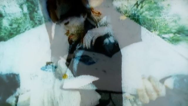 Shania Twain - When (Official Music Video)