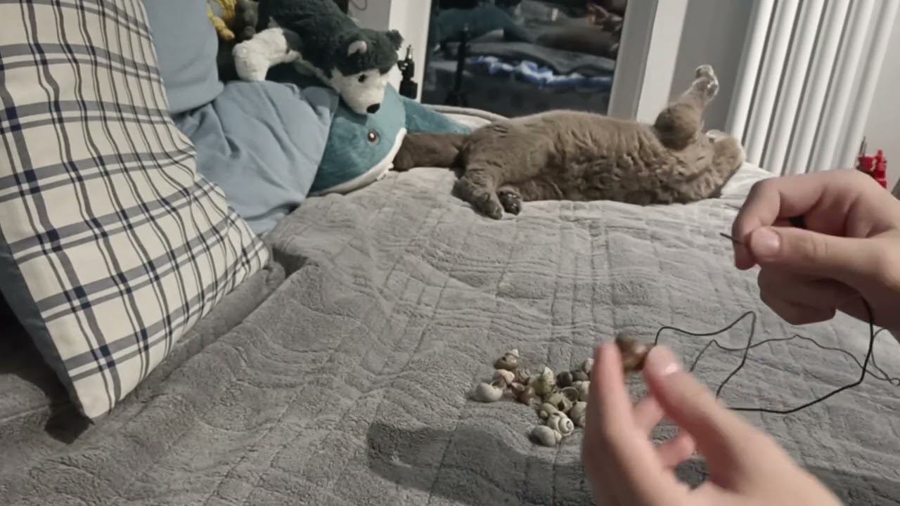 Сделал Бусы из ракушек! смотреть онлайн