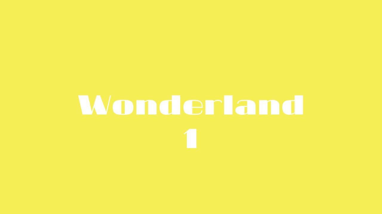 Wonderland 1 Lesson 10