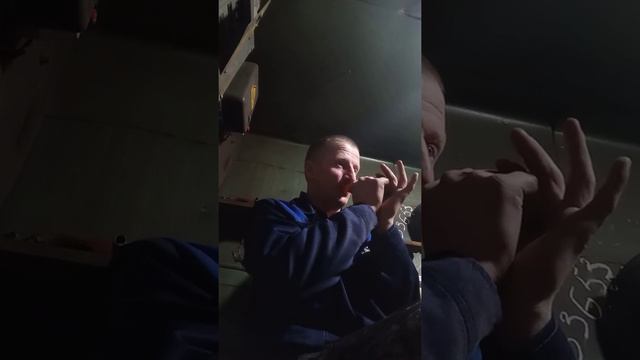 ну и все звуки на манке по белолобому гусю ,для охоты хватит без проблем смотреть онлайн