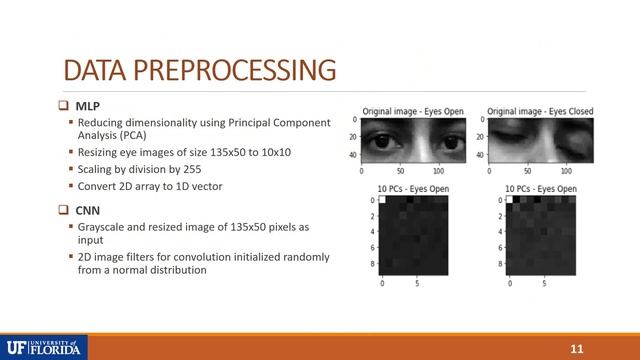 EEL 6825: Pattern Recognition - Vehicle Driver Eye State Detection смотреть онлайн