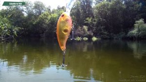 Лучший воблер кренк для ловли Щуки и Окуня👍💯🐟