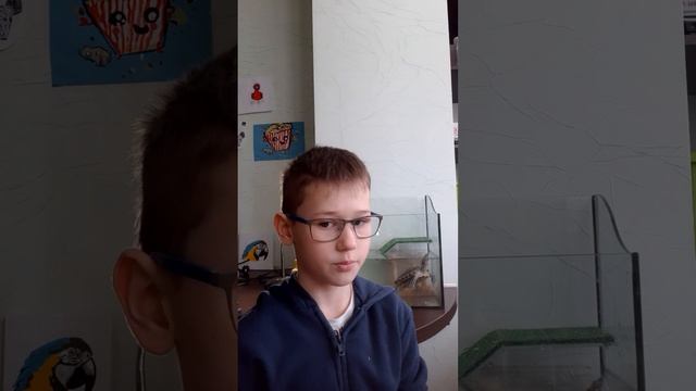 плюсы - минусы красноухой черепахи как ухаживать? смотреть онлайн
