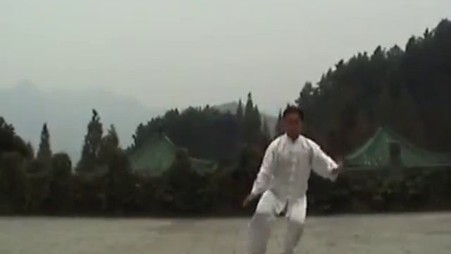 8 форм тайцзи стиль Ян, Мастер Ван Лин 1 смотреть онлайн
