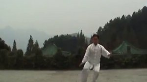 8 форм тайцзи стиль Ян, Мастер Ван Лин 1