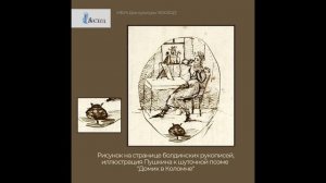 Пушкинские котики