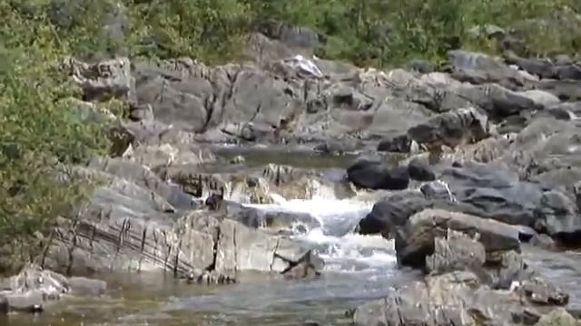 Sony DSC-HX1 Video Test: Margaret Bowater Park, Corner Brook, NL смотреть онлайн