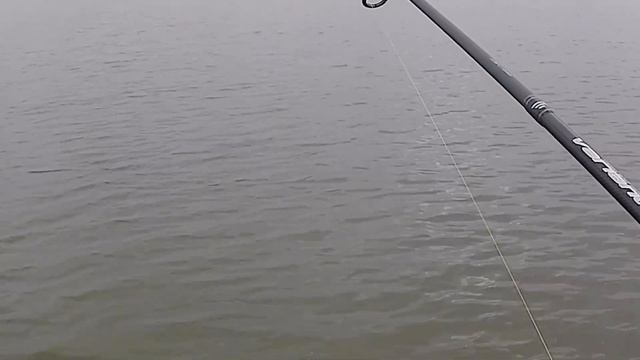 Щука клюнула на силикон Lucky John Tioga