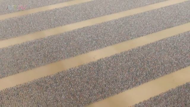 История Даруи от Школы техник Наруто смотреть онлайн