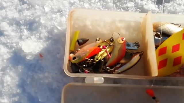 Голец! Пришел, прикормил, наловил / Dolly Varden. Ice fishing смотреть онлайн