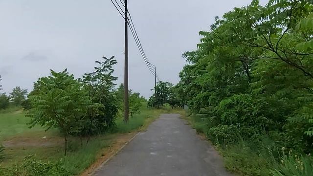 Запорожье ЗАТОПИЛО ГОРОД 31.05.2023 смотреть онлайн