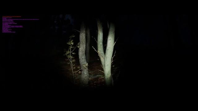 Unreal Engine 5.1 Survival Horror Forest (Paranormal Tales Inspired Demo) смотреть онлайн