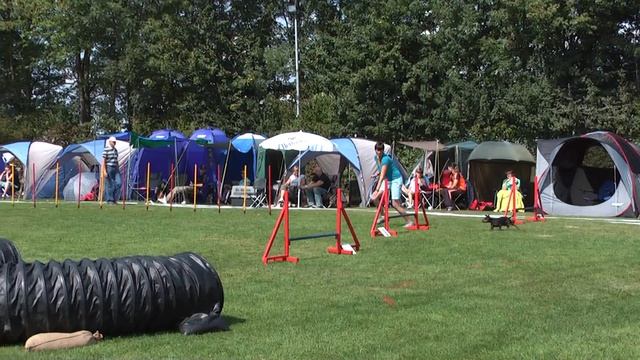 #Hiddenhausen 2009 08 22 J3 Wiebold Chili смотреть онлайн