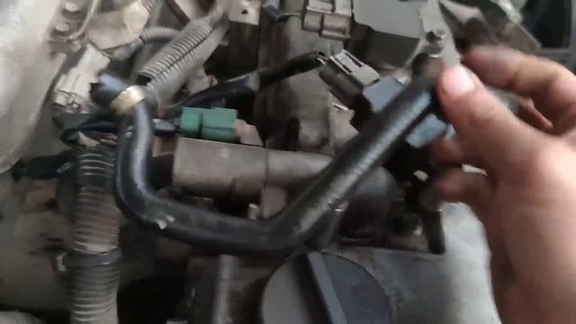 Tiraba Mucho Humo Azul y era Esto? No lo vas a creer!!! смотреть онлайн