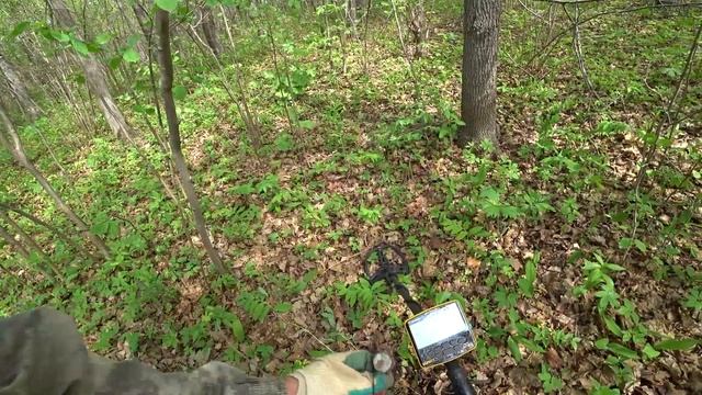 ПРЕРВАННАЯ ЭКСПЕДИЦИЯ В ПОИСКАХ ЗОЛОТА . КОПАЮ С НОВЫМ ПРИБОРОМ смотреть онлайн