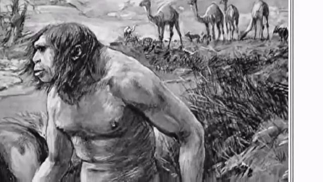 NEBRASKA MAN: Hoaxes & Frauds Previously Taught in Schools смотреть онлайн