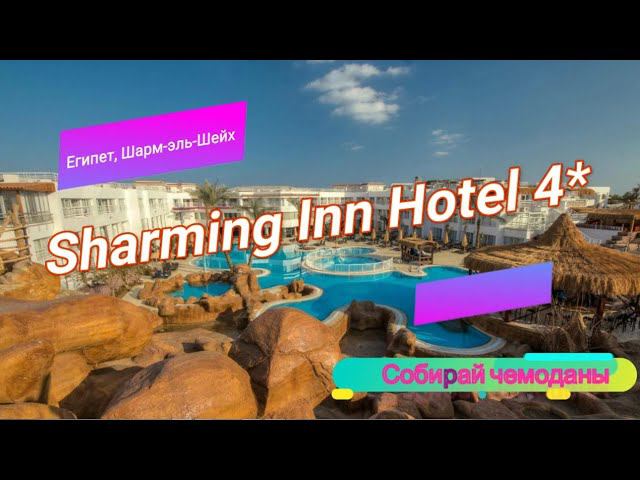 Отзыв об отеле Sharming Inn Hotel 4* (Египет, Шарм-эль-Шейх) смотреть онлайн
