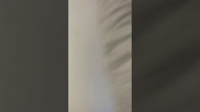 домик из подушек своими руками смотреть онлайн