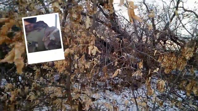 Прикол на охоте с дратхааром, нашли дичь! смотреть онлайн