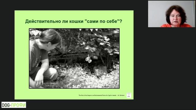 Причины нежелательного поведения домашних питомцев Лектор - Непринцева Елена смотреть онлайн