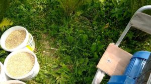 Как выбрать зернодробилку, обзор зернодробилки эликор 1